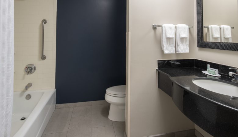 2 Queen or 2 Double Guest Room bathroom